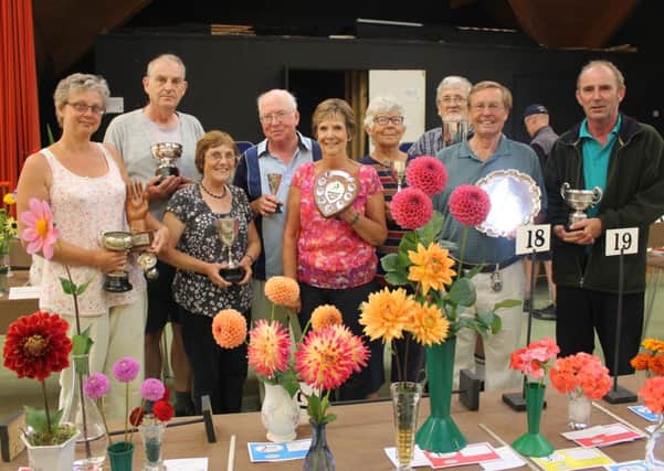 Horsham and District Horticultural Society summer show 2013