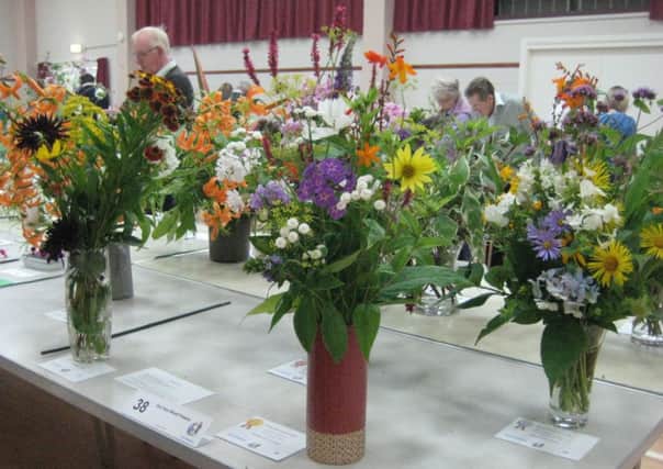 Mannings Heath Horticultural Show