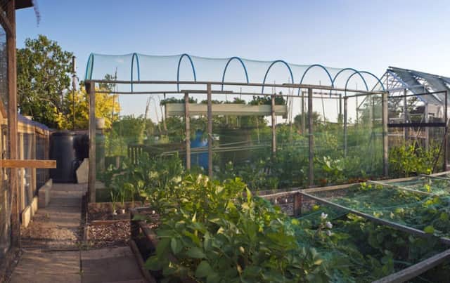 A Generic Photo of an allotment. See PA Feature GARDENING Gardening Column. Picture credit should read: PA Photo/Thinkstockphotos. WARNING: This picture must only be used to accompany PA Feature GARDENING Gardening Column.