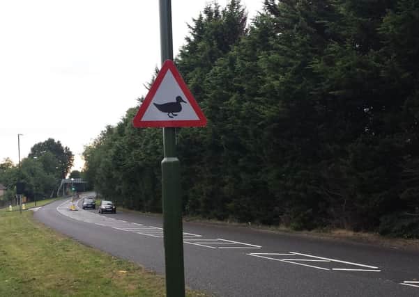 Ducks crossing sign in Harwood Road (JJP).