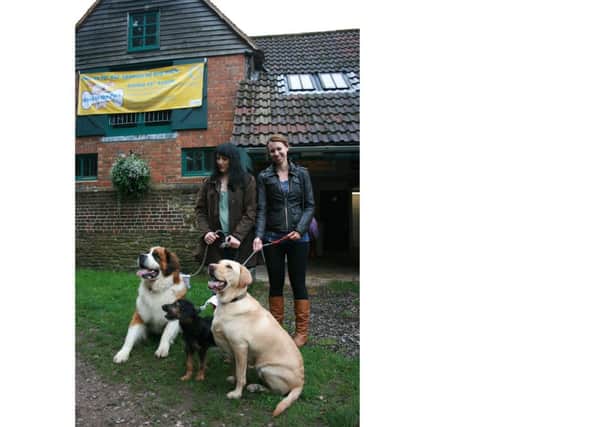 Rebecca Jackson (left) and April Thompson with St Bernard Ned, cavalier cross terrier Mia and labrador Woody