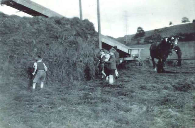 A photo from John Richardson showing haymaking at Funtington