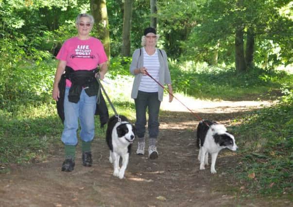 Gerry Boniface (left) and  Gaynor Hollis with dogs tackle the Balcombe Walk for St Catherine's Hospice on Sunday.  pic Phil Dennett