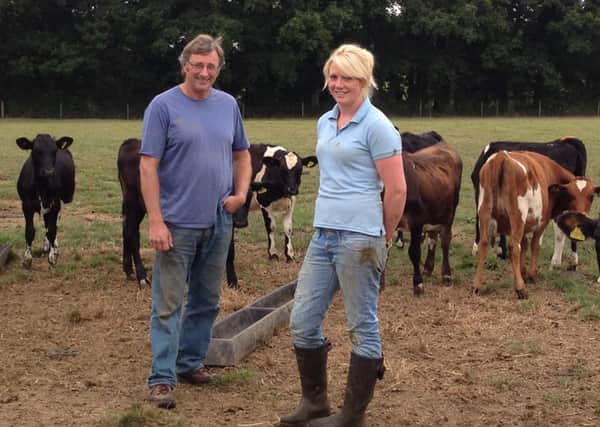 Roger & Kate Lywood tending their cows and calves, winners of the best farm and best commercial dairy herd competitions