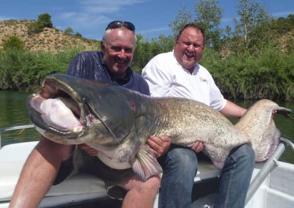 Neil James and Alan Brumwell with their huge catch