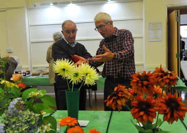 14/9/13- Battle Horticultural Society Autumn Show.