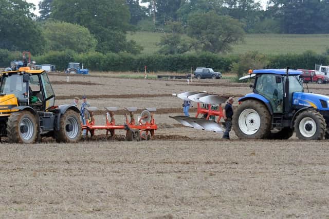 S38378H13   West Grinstead and District Ploughing and Agricultural Society match and show at Wiston