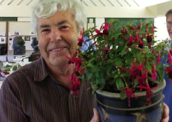 Roy Phillips, with his pot of fuchsias at the Yapton autumn show
