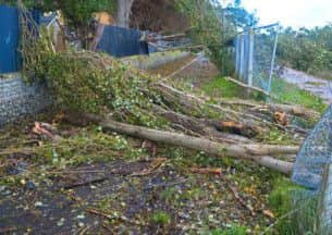 A tree felled and blocking a footpath between Elmgrove Road and Cornwall Road