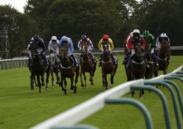 Racing at Fontwell Park, planned for Friday, has been abandoned because of recent rainfall  Picture by Clive Bennett