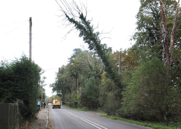 JPCT 281013 S13430583x A281, near Partridge Green.  Wind damage. Tree on power lines. Road closed -photo by Steve Cobb