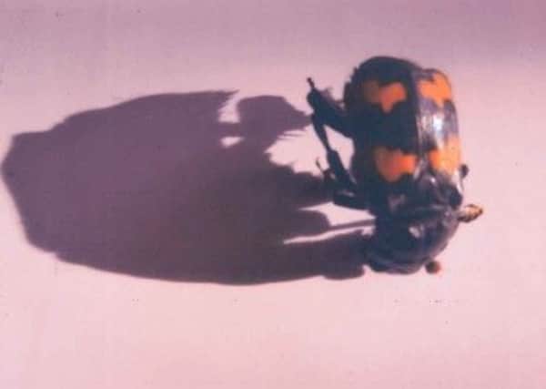 The sexton beetle