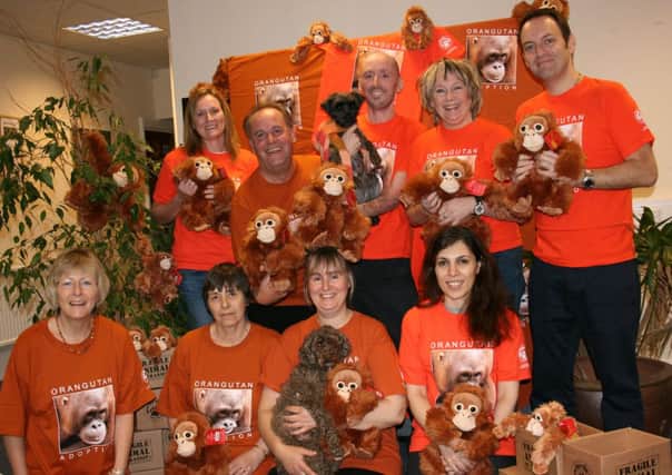 Care for the Wild go orange for orangutans