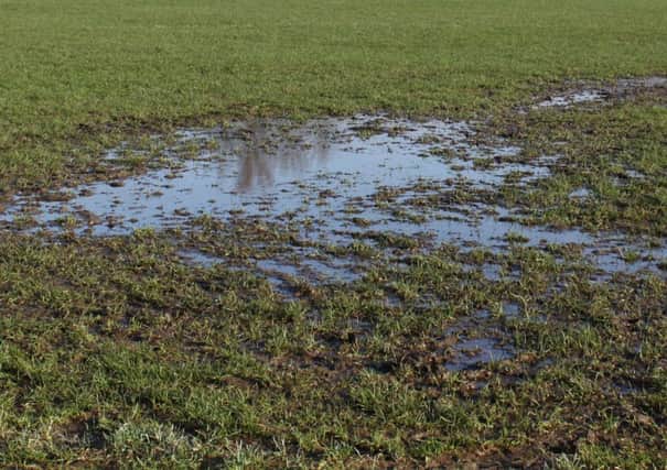 Three matches involving the area's senior football teams have already succumbed to waterlogged pitches