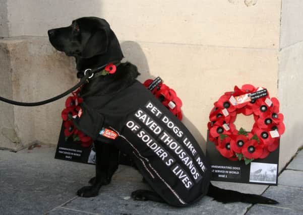 Molly at the wreath in Ypres (submitted).