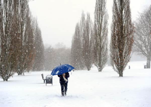 JPCT 18-01-13 S13040515X Snow. Horsham Park -photo by Steve Cobb
