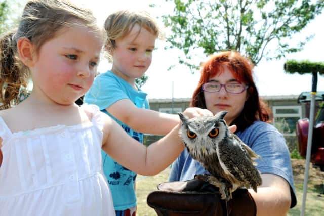 C130964-1 Chi Westbourne Summer  pot kate

Hannah Cowdrey, 17, showing one of the Regal Raptors birds to Hannah Hawkins, three, and Sam Weatherstone, five at the Westbourne Primary school fete.Picture by Kate Shemilt.C130964-1