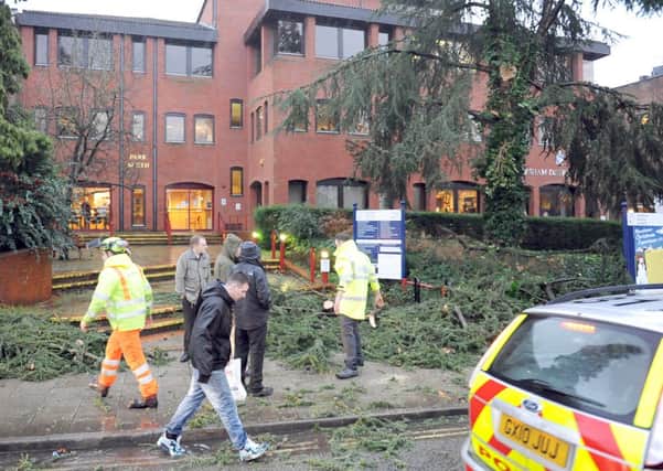 JPCT 231213 Branch falls off tree in high wind outside Park North council offices, North Street, Horsham. Photo by Derek Martin