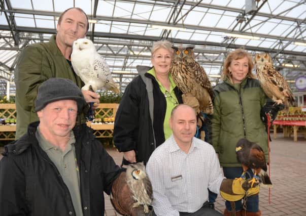 (Back row from left ) Andy Kendall with Darling the latest rescued snowy owl, Haskins Mel Howith with Hazel the European eagle owl, Zsi Kendall with Venus, an Indian eagle owl (front from left) Owls About Towns Gavin Woods with Denis Healy, and Haskins manager Nick Joad with Ernie, a Harris hawk.