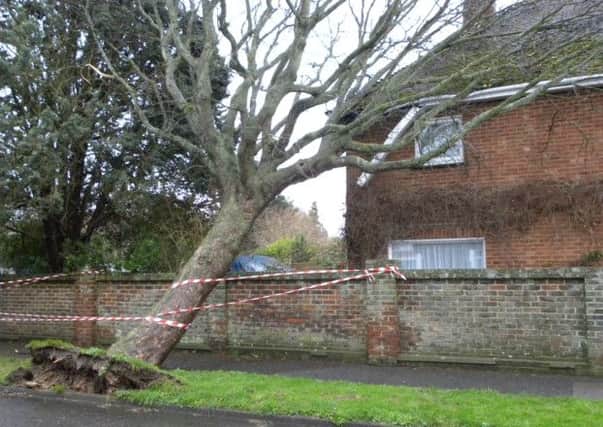 A tree collapses on a home in Littlehampton