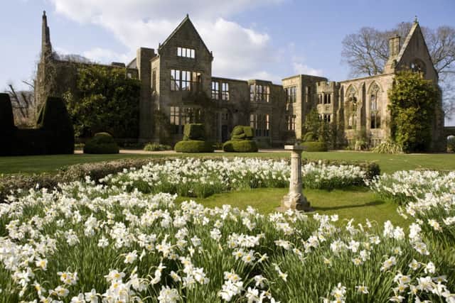 Nymans - house, with daffodils in foreground, credit National Trust Images, David Levenson