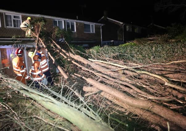 Firefighters move the tree in Rosamund Road, Furnace Green. Picture by Eddie Mitchell