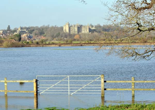 Arundel, seemingly surrounded by water, during last months floods                                              PHOTO: Liz Pearce