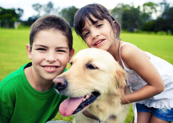 The RSPCA has launched a new, exciting half-term activity scheme for children aged 6-12 years