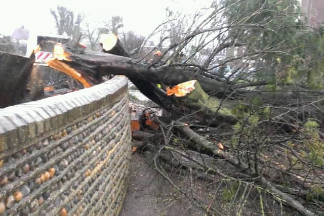 Council workmen managed to save the flint wall from damage as the trees came down