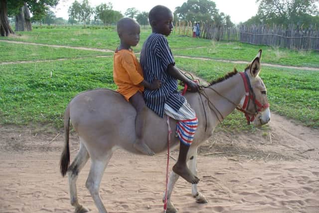 'Vets with Horsepower' to ride across Europe to raise money for Ockley-based charity Gambia Horse and Donkey Trust