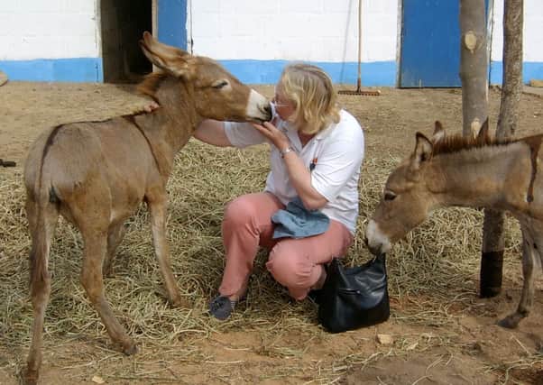 Director of the Gambia Horse and Donkey Trust, Heather Armstrong