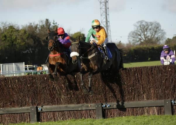 Boxing Day was the last time Fontwell saw racing - but the track has an open day on Wednesday  Picture by Clive Bennett