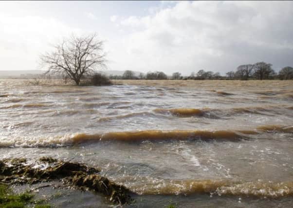 Actual waves on the Adur flood plain, just south of Henfield PICTURE: KATHY HORNIBLOW