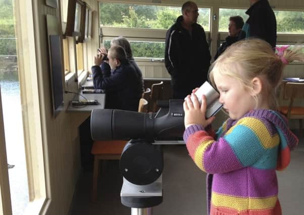Young Sophie Rooney watches wildlife through a viewing scope at Arundel Wildfowl and Wetland Centre