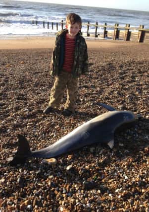 Stunned seven-year-old, Eddie Baird, stands by the carcass of a dolphin