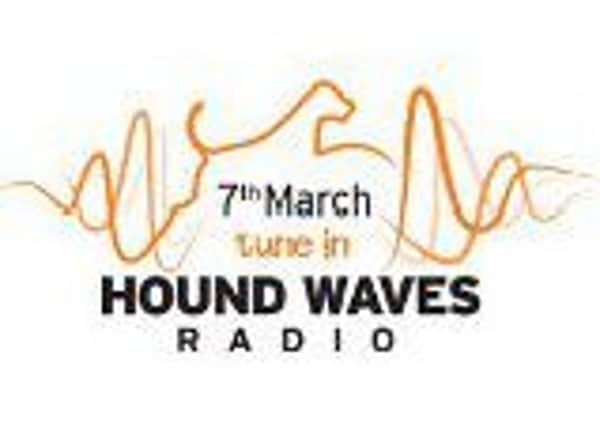Hound Waves Radio