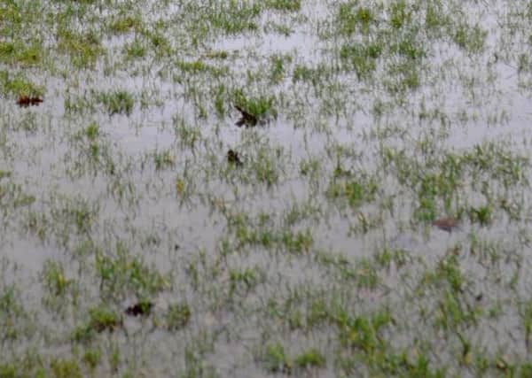 A waterlogged pitch has put paid to Hastings United's scheduled visit from Chipstead tonight