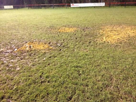 The problem area of the pitch at Crabtree Park