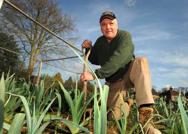 Tony Hardy at work in the Vale Road allotments, Haywards Heath. Pic Steve Robards SUS-140903-195428001
