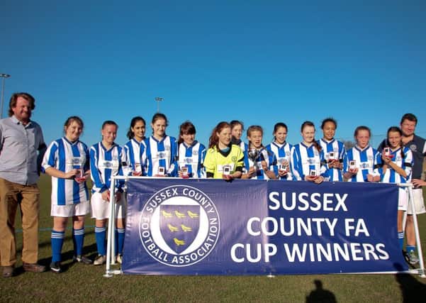 Horsham Sparrows Under-14s with their Sussex champions trophies and managers Lee Maguire and Steve Bold SUS-140319-122703002