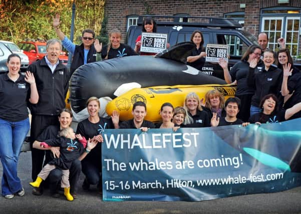 JPCT 120314 S14110992x WhaleFest 2014. Born Free Foundation welcomes inflatable whale to Horsham -photo by Steve Cobb SUS-141203-120641001