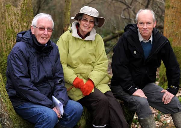 Michael Bradley, Gill Rogers, and Peter McKerchar, Ashenground Wood. Pic Steve Robards SUS-140228-145608001