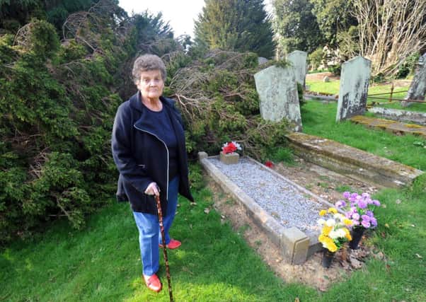 28/3/14- Jo Clarke at her Grandmother's grave, with the tree that fell on top of it in the background. SUS-140328-174428001