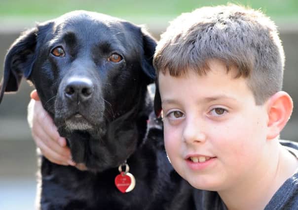 WH 310314 Ten-year-old Labrador Tess with Ethan Hayward, 9
