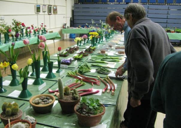 Battle Floral and Horticultural Society Spring Show SUS-140204-143839001