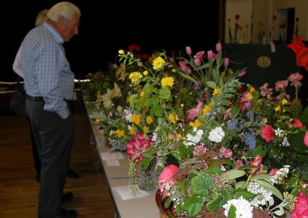 Catsfield Horticultural Society Spring Show