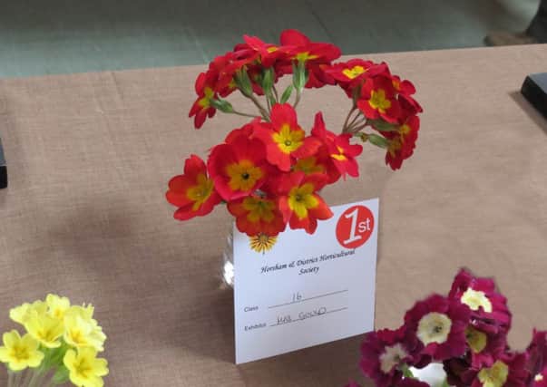 Horsham Horticultural Society Spring Show SUS-140415-093042001