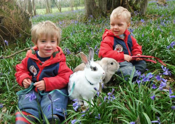 Children at Little Russets nursery playing with new rabbits Fudge and Smudge