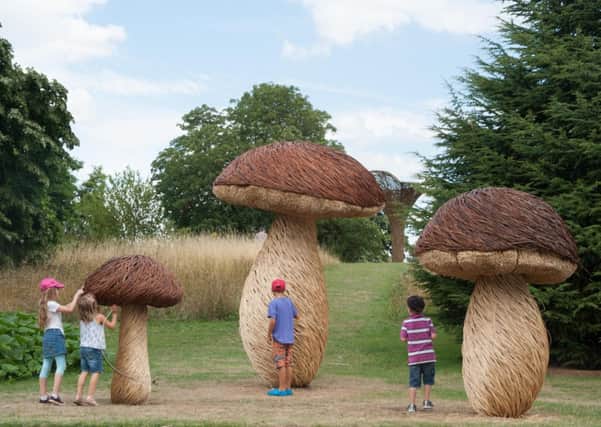Giant mushrooms spring up at Wakehurst Place SUS-140425-112421001