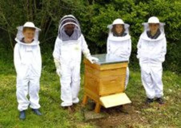 Vinehall School pupils show off their new beehive. SUS-140605-143114001